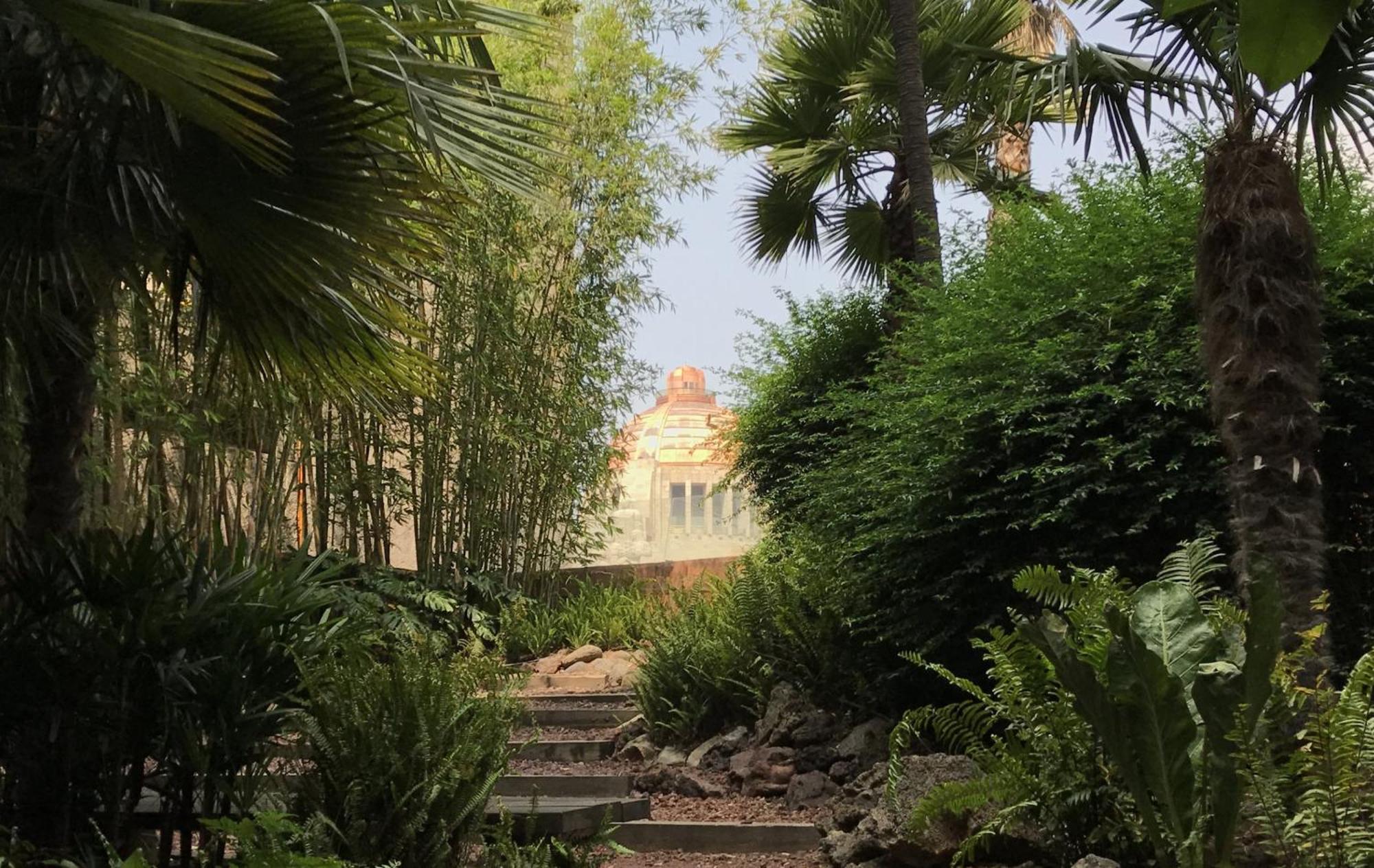 מקסיקו סיטי Villa Reforma By Kukun מראה חיצוני תמונה